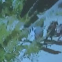 «Шерзаттың анасы «Тоқтаңдар! менің балам!» деп айқайлады»: 4-қабаттан видеоға түсірген жасөспірім