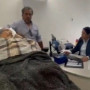 Төсекке таңылған 96 жастағы қарияны банкке жеткізуді талап еткен қызметкерлерге қарсы іс қозғалды