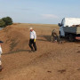 БҚО-да өзеннен 300-ден астам киіктің өлексесі шығарылды