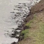 Батыс Қазақстанда 308 құралай өзеннен өте алмай, суға батып кеткен