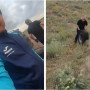 «Алла сақтап қалды»: Досымжан Таңатаров шұғыл хабарын айтты