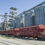 Қазақстанда жаңа астық өнімінің экспорты 9 млн тоннаны құрады