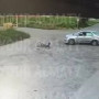Алматы облысында баланы қағып кеткен жүргізуші іздестіріліп жатыр