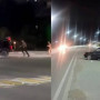 Қостанайда жол апатын жасаған мас жүргізуші ұсталды