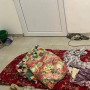 Ақтаудағы қоғамдық дәретхана еденінде ұйықтаған балаларға қатысты әкімдік өкілдері түсінік берді