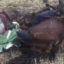 Қарағанды облысында найзағай түскен бақташы, атымен, итімен бірге өліп кеткен