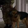 6 жыл жасырынып жүрген күдікті Ресейден экстрадицияланды