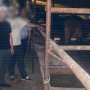 Үш облыстың малын айдап әкетіп, сатумен айналысқан қылмыстық топ ұсталды