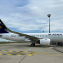 Air Astana ұшағы құстармен соқтығысып қалды