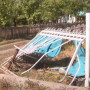 «Жүргізуші куәлігі берілмеуі тиіс болған: Бестеректегі қайғылы жағдайға қатысты жаңа дерек шықты