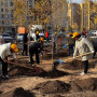 Астанада жалпықалалық ауқымды сенбілік өтіп жатыр