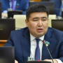 Монополистер тарифті айналып өтіп, қосымша қызметтер арқылы табыс тауып отыр – депутаттар