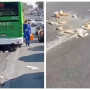 Шымкентте автобус астында қалған әйел адам көз жұмды (ВИДЕО)