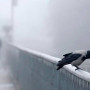 Еліміздің 13 өңірінде дауылды ескерту жарияланды
