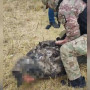 Елімізде астық ұрлығымен айналысқан 18 адам ұсталды