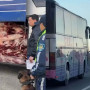 «Құжаты жоқ»: Жетісуда 2 сиыр мен 100 қойдың еті тиелген автобус тоқтатылды