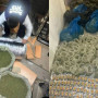 Ақтауда есірткі саудасына қатысы бар бірнеше адам ұсталды