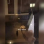 Алматыда 18 жастағы бойжеткен 9-қабаттан құлап кетті