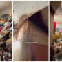 «Екі баласы бар»: Атыраулық отбасы қоқыс пен тарақанға толы пәтерде тұрған