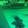 Ақтөбеде көпқабатты үйлердің кабельдерін ұрлаған адам ұсталды