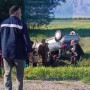 14 баланы өз көлігіне мінгізіп алған 34 жастағы әйел жол апатына ұшырады