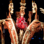 Body Worlds Amsterdam: өмірде болған адамдардың дене мүшелері қойылған көрме