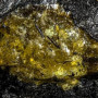 Қытайдан 385 миллион жылдық тарихы бар кәріптас табылды