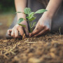 Бау-бақша өсіру онкологиямен ауыратын науқастардың көңіл күйіне оң әсер етуі  мүмкін
