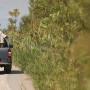 "130 адам қаза тапты": Еуропада Ніл вирусы бұрын-соңды болмаған деңгейде тарап жатыр