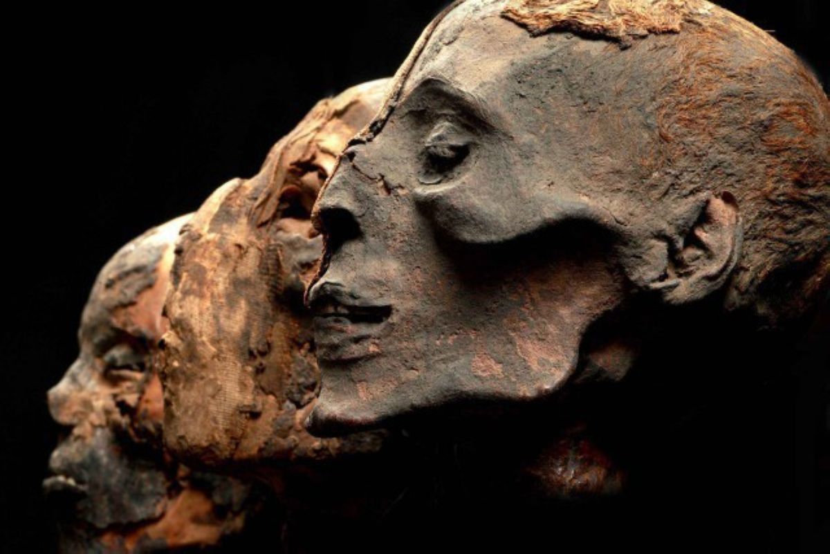 Ғалымдар мумияның ДНК-сын анықтады