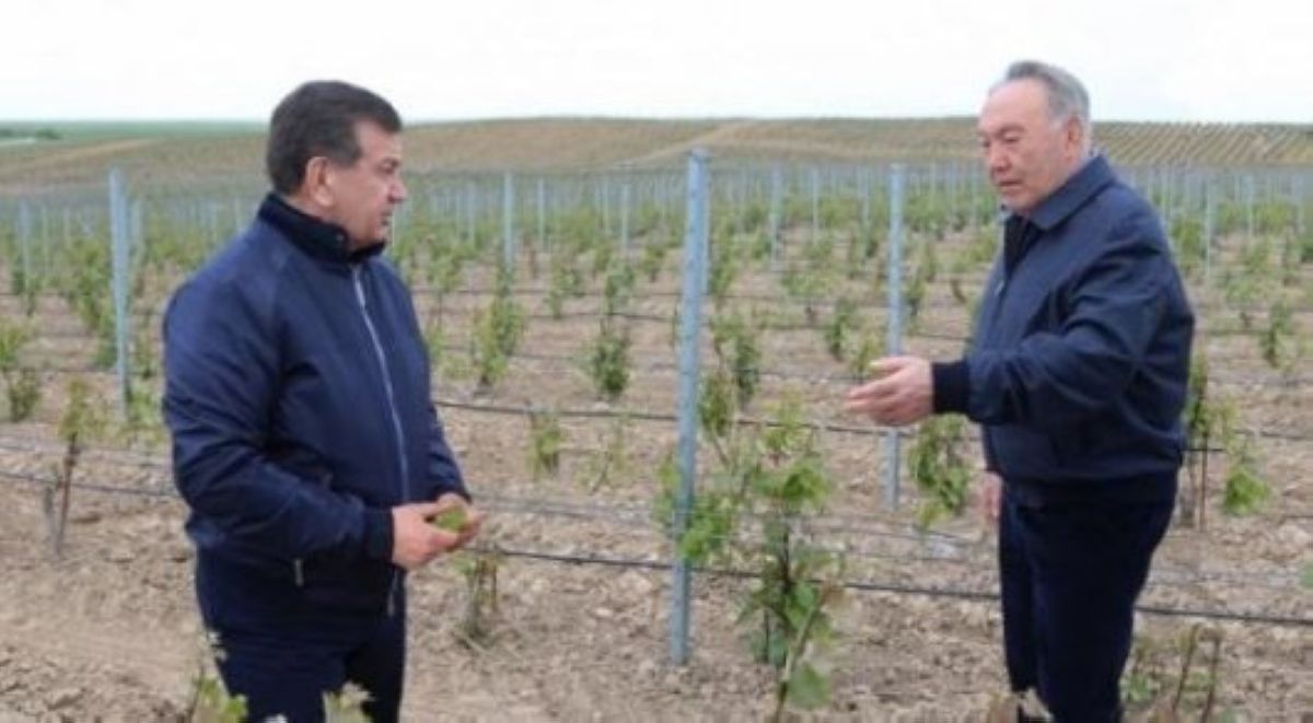 Нұрсұлтан Назарбаев Өзбекстан президентін туған күнімен құттықтады