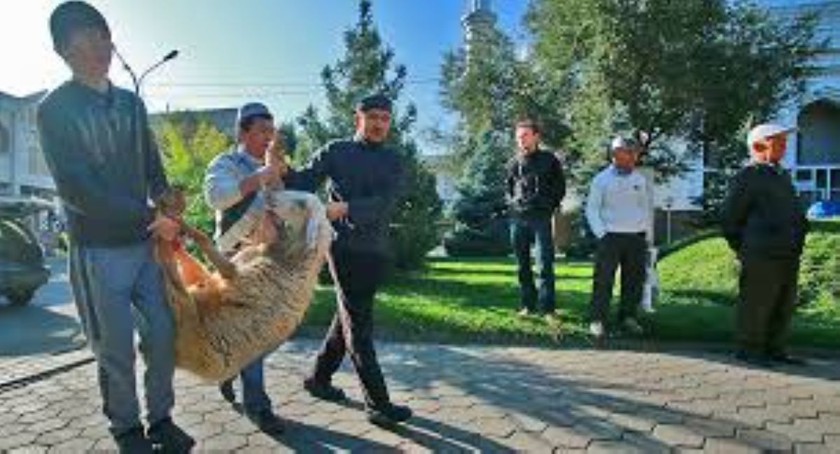 Душанбе қаласында құрбандық шалуға рұқсат берілді