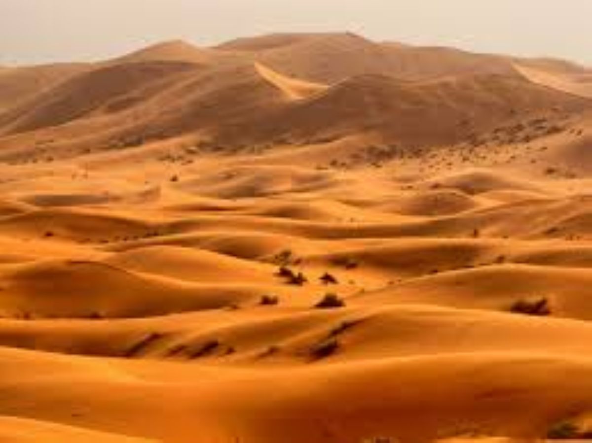 Арабия шөлінде адасқан туристерді тұрғындар құтқарып қалды