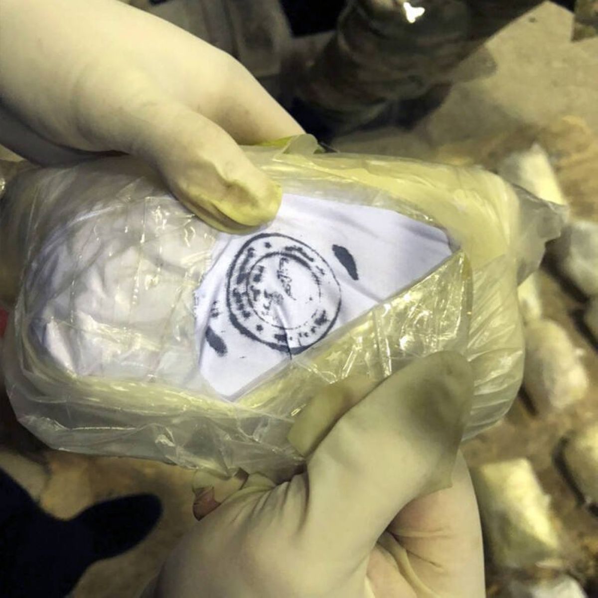 Қазақ-қырғыз шекарасында 60 келіден астам есірткі заты тәркіленді (видео)