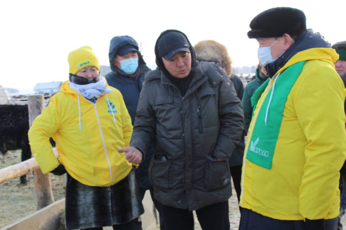 Әли Бектаев: Агроөнеркәсіптік кешендегі кооперативтік қозғалысты жаңғырту қажет