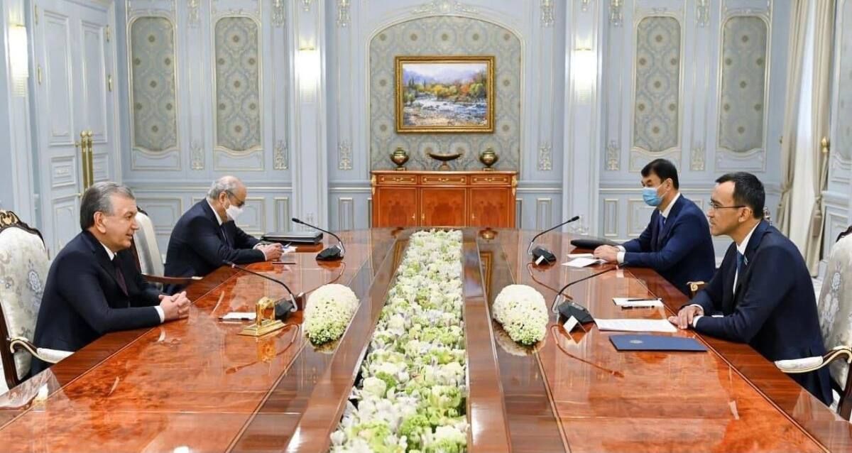 Мәулен Әшімбаев Өзбекстан Президенті Шавкат Мирзиеевпен кездесті