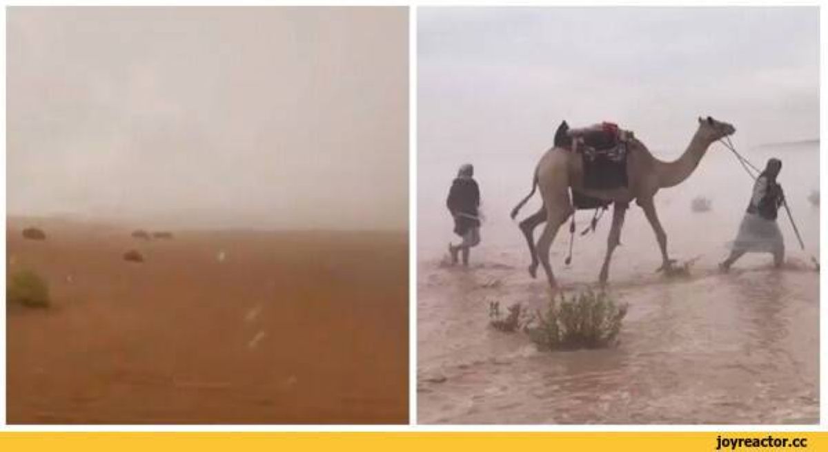 Арабтар жаудырған жасанды жауын су тасқынына ұласты (видео)