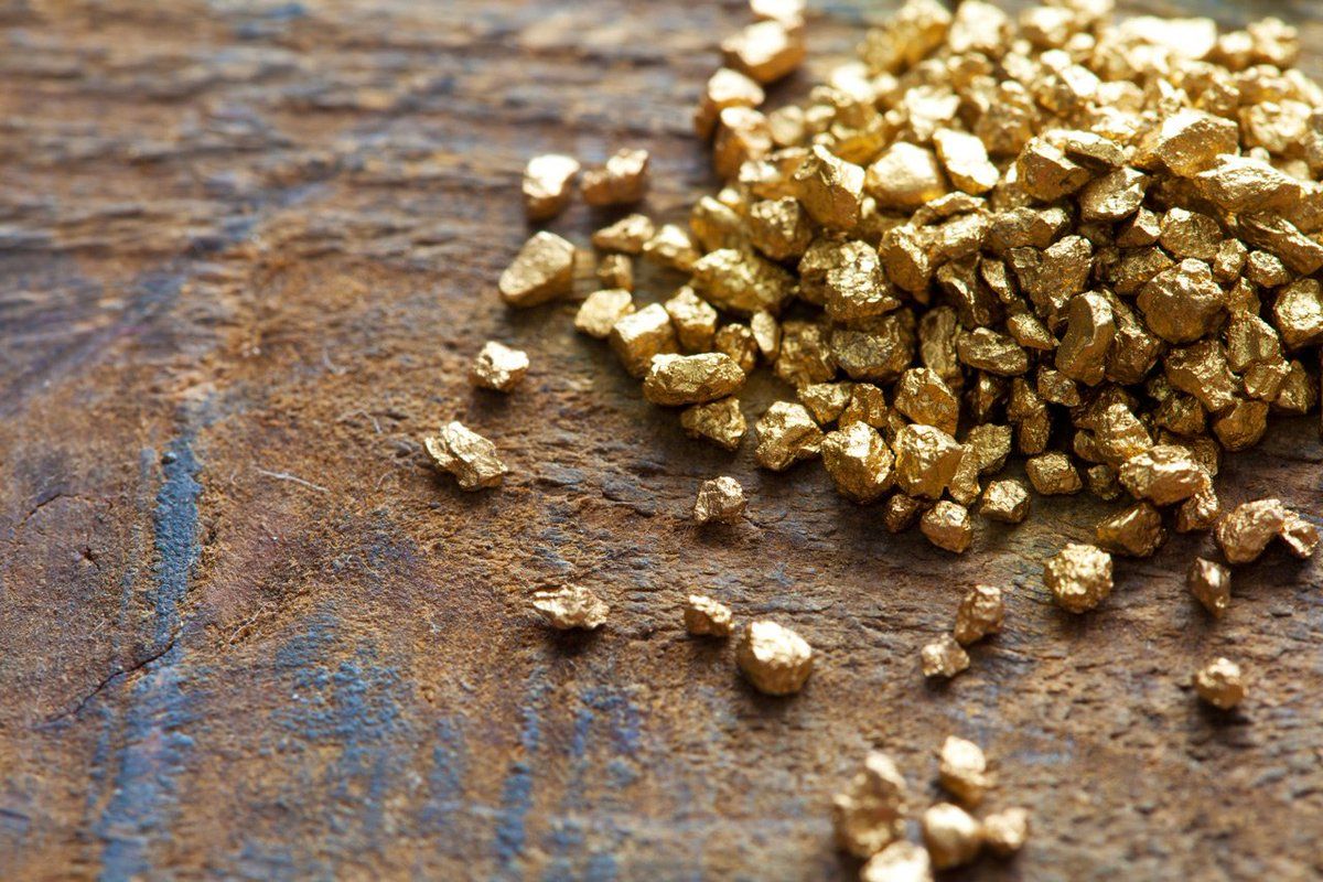Жамбыл облысында заңсыз алтын өндіргендер ұсталды