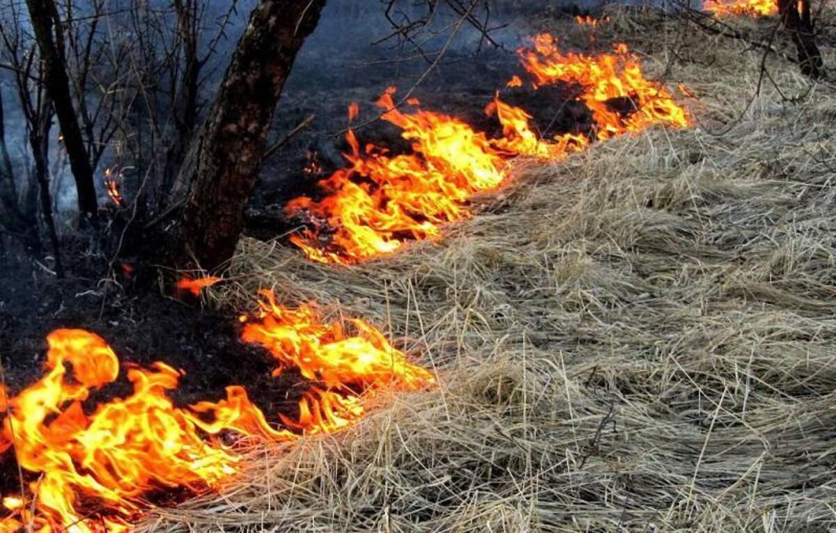 Павлодар облысында электр сымы үзіліп, салдарынан өрт шықты