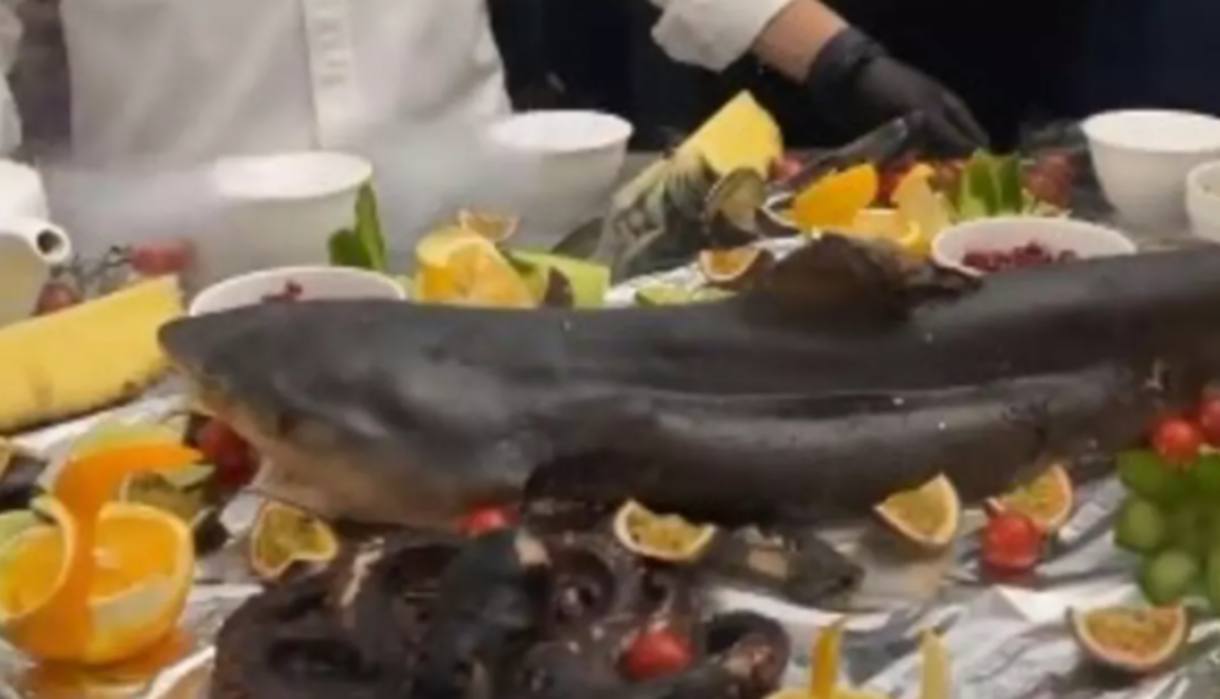 Назарбаевқа ас әзірлеп, танымал болған аспаз тойында қонақтарға акуладан дәм татқызды (ВИДЕО)
