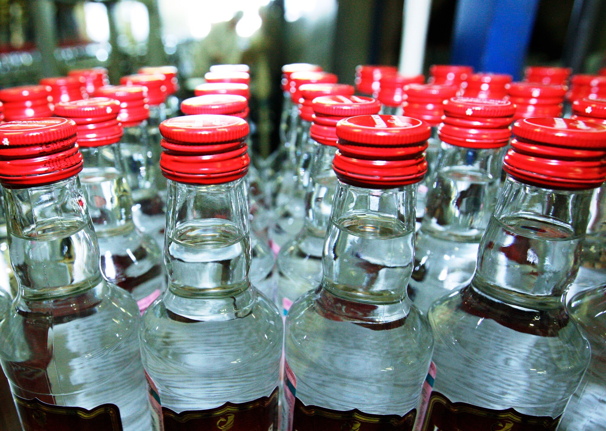 Жамбыл облысында алкоголь өнімін шығарған астыртын цех анықталды