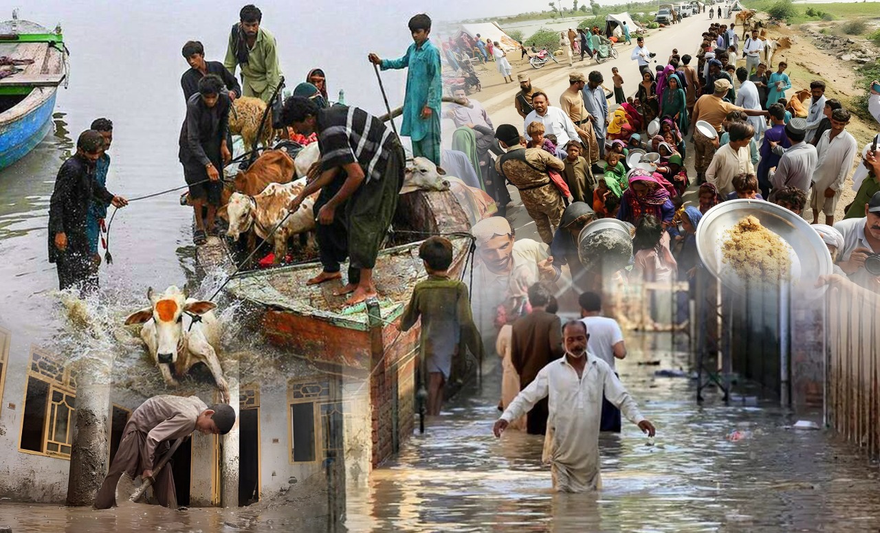 «33 млн адам зардап шекті»: Пәкістанның су тасқынынан кейінгі көрінісі (ФОТО)
