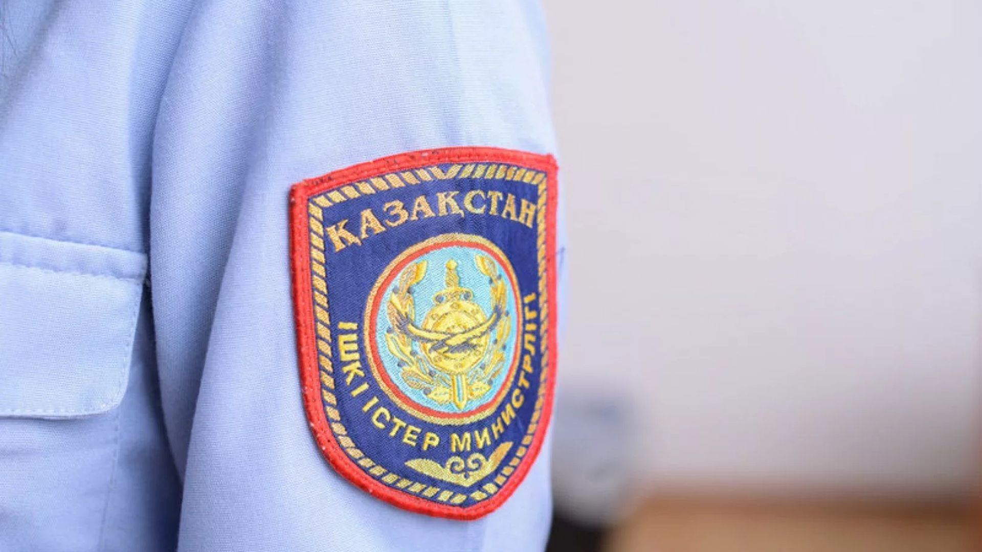 Алматыда Өзбекстан азаматы 105 қойды ұрлап кетті