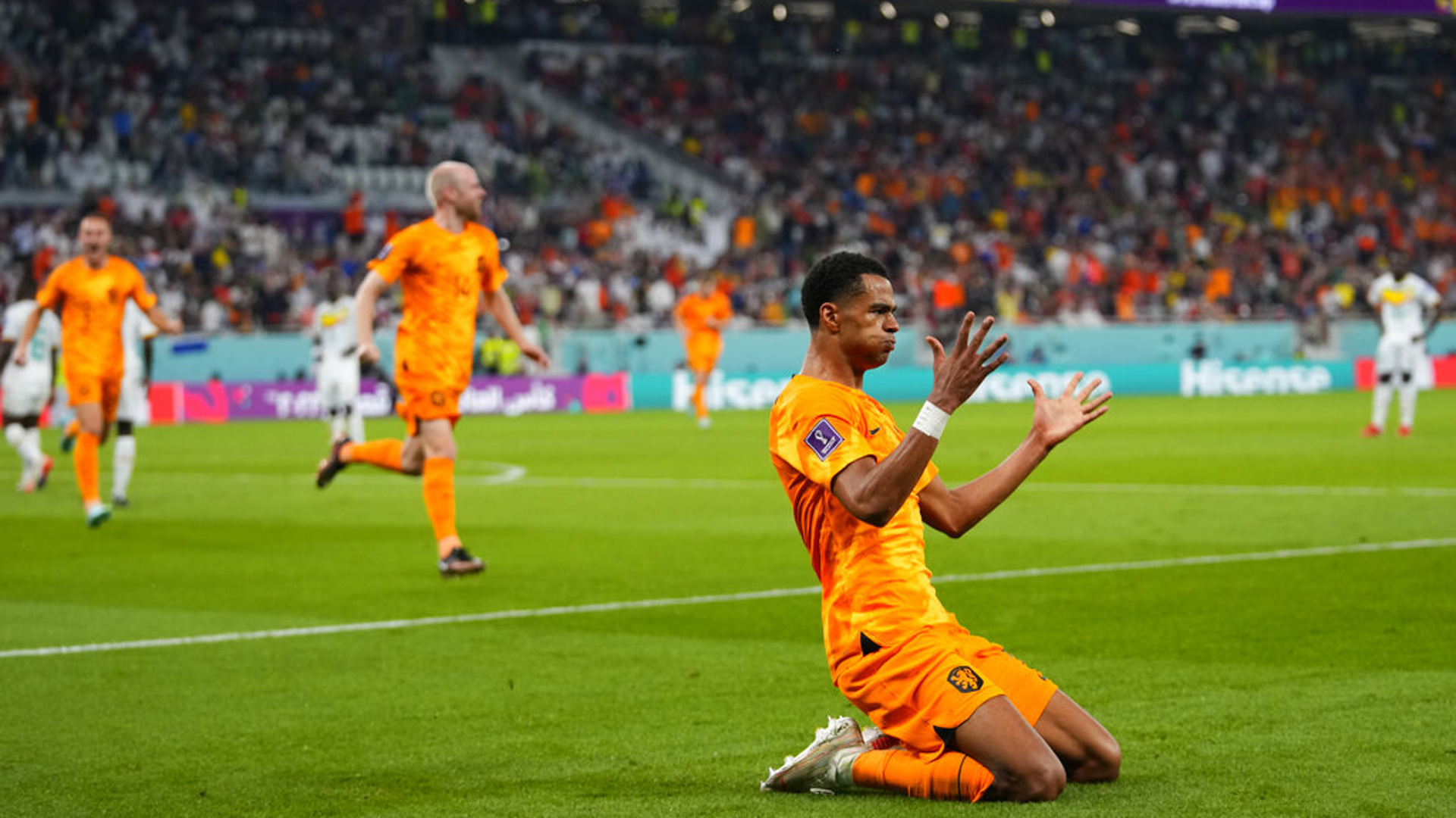 Нидерланды құрамасы әлем чемпионатын жеңіспен бастады
