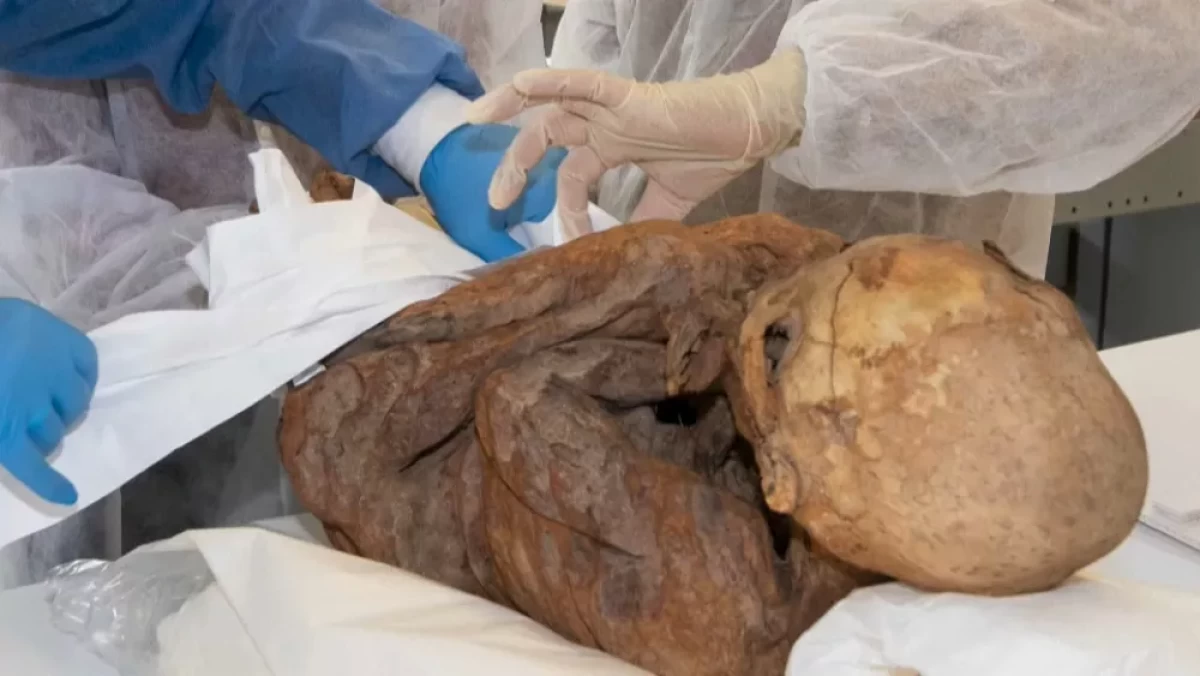 Швейцария Боливияға 3 мумияны қайтарды